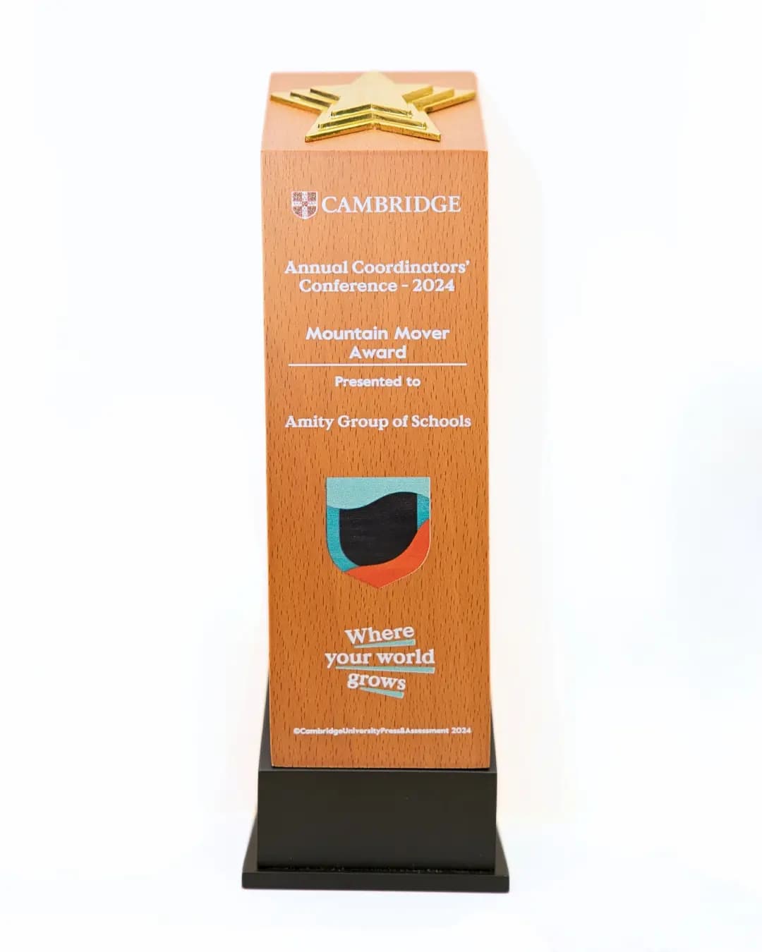 Continuous Excellence Award