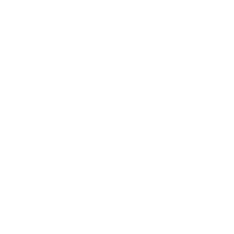 Holistic Education